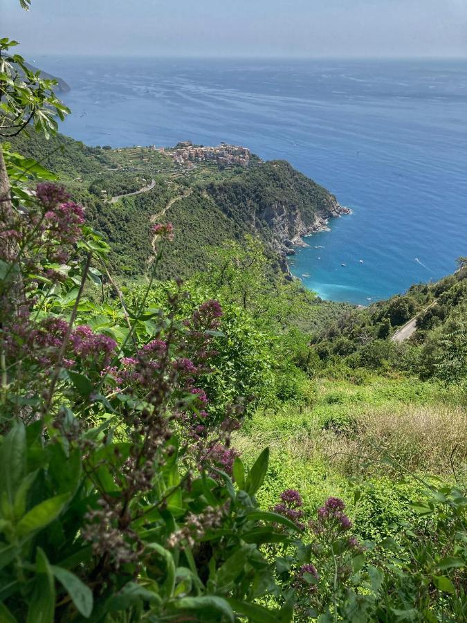 Villa La Casa Rossa Arcola Con Vista Extérieur photo