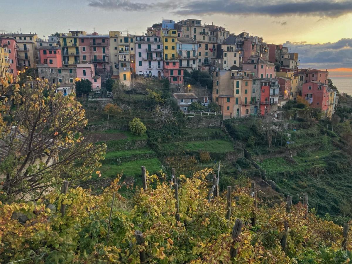 Villa La Casa Rossa Arcola Con Vista Extérieur photo